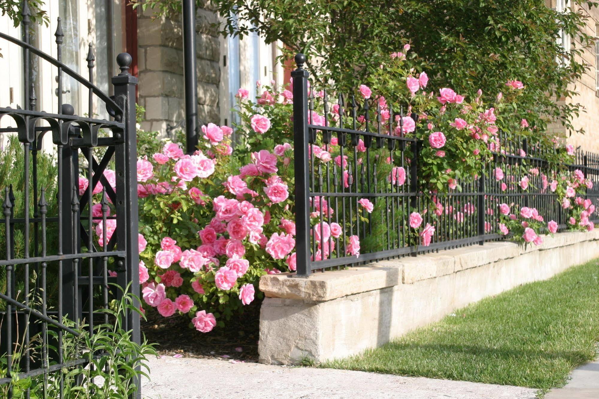 Nagle Warren Mansion B&B Cheyenne Exterior photo